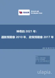 神奇的2021年：通胀预期像2010年，政策预期像2017年