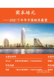 2021下半年中国经济展望：固本培元