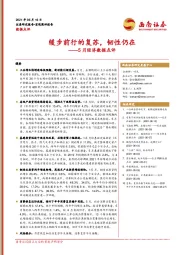 5月经济数据点评：缓步前行的复苏，韧性仍在
