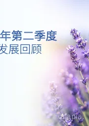 2021年第二季度财会发展回顾