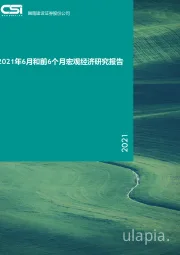 2021年6月和前6个月宏观经济研究报告