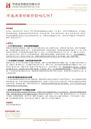 宏观点评报告：河南洪涝对粮价影响几何？
