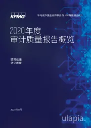2020年度审计质量报告概览