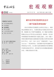 宏观观察2021年第52期（总第375期）：新兴经济体风险研判及应对-基于国家异质性视角＊