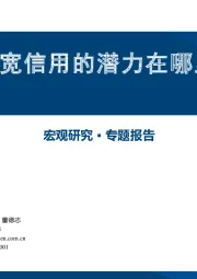 宏观研究·专题报告：国内宽信用的潜力在哪里？