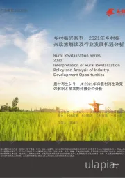 乡村振兴系列：2021年乡村振兴政策解读及行业发展机遇分析