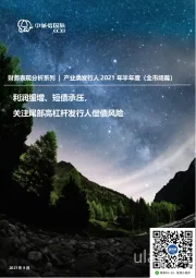 产业类发行人2021年半年度财务表现分析(全市场篇):利润缓增、短债承压,关注尾部高杠杆发行人偿债风险