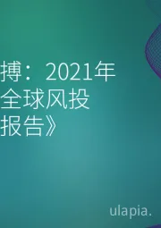 《风投脉搏：2021年第二季度全球风投趋势分析报告》