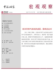 宏观观察2021年第62期（总第385期）：欧洲天然气危机的成因、影响及应对