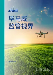 监管视界
