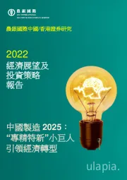 2022经济展望及投资策略报告