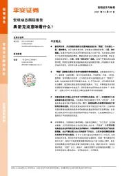 宏观动态跟踪报告：奥密克戎意味着什么？