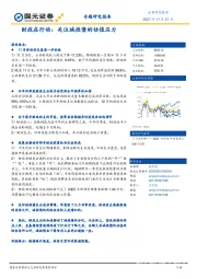 专题研究报告：财政在行动：关注城投债的估值压力