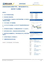 当我们在谈论2022年时，我们在谈论什么：我们的十大预期