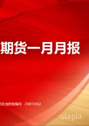 宏观金融期货一月月报