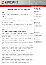 宏观大类点评：12月PPI增速加速下行，1月或继续回落