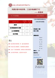CPI、PPI点评报告：消费价格年尾回落，工业价格继续下行