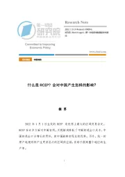 中国观察：什么是RCEP？ 会对中国产生怎样的影响？