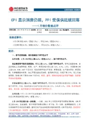 1月物价数据点评：CPI显示消费仍弱，PPI受保供延续回落