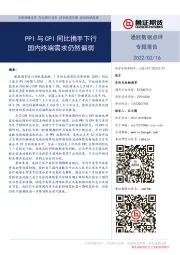 通胀数据点评专题报告：PPI与CPI同比携手下行 国内终端需求仍然偏弱