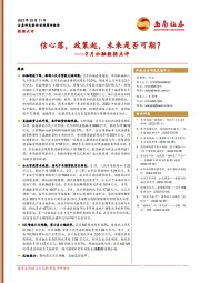 2月社融数据点评：信心落，政策起，未来是否可期？