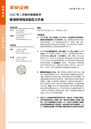 2022年3月物价数据简评：警惕结构性通胀压力升级