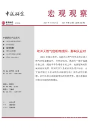 宏观观察2021年第62期（总第385期）：欧洲天然气危机的成因、影响及应对