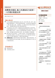 宏观经济点评：消费需求偏弱，输入性通胀压力延续——5月物价数据点评