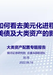 大类资产配置专题报告：如何看去美元化进程对美债及大类资产的影响