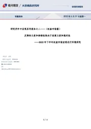 研究所年中宏观系列报告之二——（权益市场篇）：2022年下半年权益市场宏观运行环境研究——反弹的力度和持续性取决于政策力度和稳定性