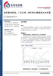 6月通胀数据点评：油价影响明显，7月CPI、PPI同比增速或双双回落