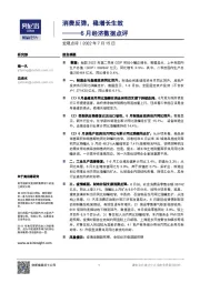 6月经济数据点评：消费反弹，稳增长生效