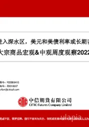 大宗商品宏观&中观周度观察：国内政策刺激进入深水区，美元和美债利率或长期以阶梯方式下行
