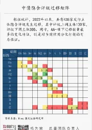 国元总量每日一图：中债隐含评级迁移矩阵