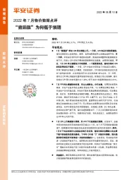 2022年7月物价数据点评：“猪通胀”为何低于预期