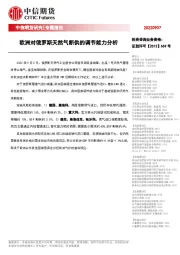 专题报告：欧洲对俄罗斯天然气断供的调节能力分析