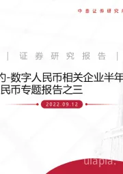 数字人民币专题报告之三：数字人民币相关企业半年报内容汇总-窥斑见豹