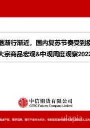 大宗商品宏观&中观周度观察：海外衰退渐行渐近，国内复苏节奏受到疫情扰动