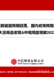 大宗商品宏观&中观周度观察：美国通胀数据超预期回落，国内政策预期再度提升