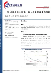 2022年10月宏观经济数据点评：10月经济再次回落，两大政策提振复苏预期