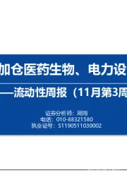 流动性周报（11月第3周）：内外资加仓医药生物、电力设备和电子