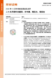 2022年12月中央政治局会议点评：二十大开局年关键词：扩内需、增活力、保安全