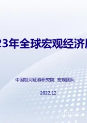 2023年全球宏观经济展望