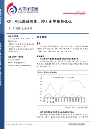 11月通胀数据点评：CPI同比涨幅回落，PPI走势维持低位