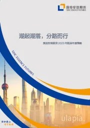 2023年航运年度策略：潮起潮落，分路而行