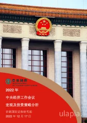 2022年中央经济工作会议宏观及投资策略分析