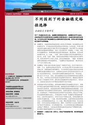 金融稳定专题研究：不同国别下的金融稳定路径选择