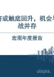 宏观年度报告：经济或触底回升，机会与挑战并存