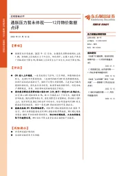 12月物价数据点评：通胀压力暂未体现