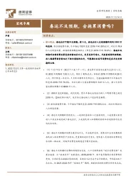 宏观专题：春运不及预期，会拖累消费吗？